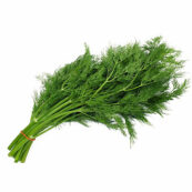 Dill, Small bunch LOCAL