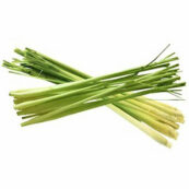 Lemongrass 3 stalks LOCAL