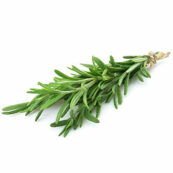 Rosemary bunch LOCAL