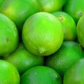 Limes