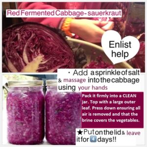 Fermented_Red_Cabbage