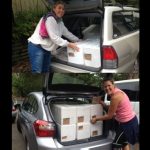 Late_Delivery