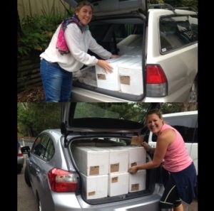 Late_Delivery