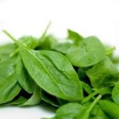 Organic_Baby_Spinach