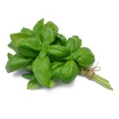Fresh_Organic_Basil