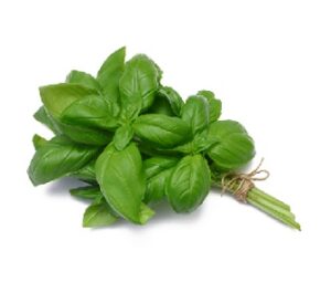 Fresh_Organic_Basil