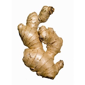 Fresh_Organic_Ginger