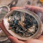 Abalone_Sets
