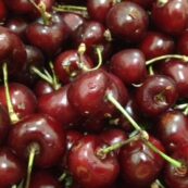 Organic_Cherries_NSW