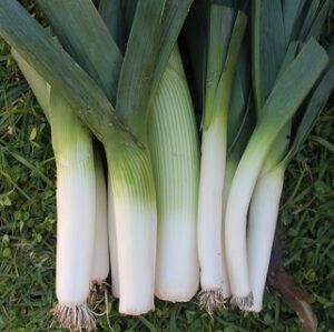 Local_Organic_Leeks