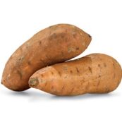 Organic_Sweet_Potato