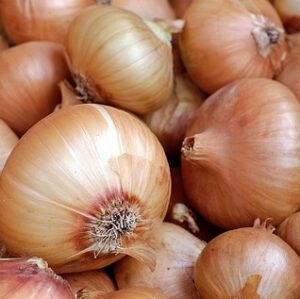 Onions_Brown
