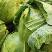 Organic_Green_Cabbage