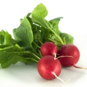 Organic_Radishes