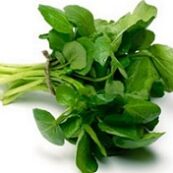 Organic_Watercress