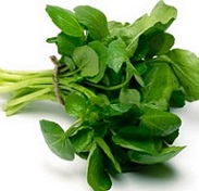 Organic_Watercress