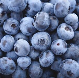 Organic_Blueberries