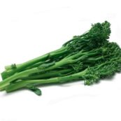 Organic_Broccolini