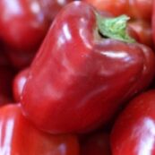 Organic_Capsicums