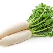 Organic_Daikon