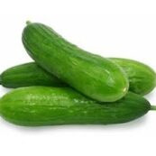 Organic_Lebanese_Cucumbers