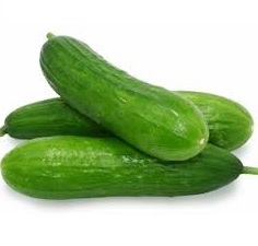 Organic_Lebanese_Cucumbers