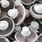 Mushrooms, White 200g LOCAL