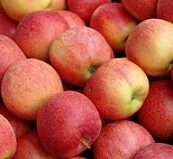 Organic_Pink_Lady_Apples