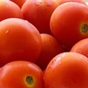 Organic_Tomatoes