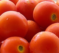 Organic_Tomatoes