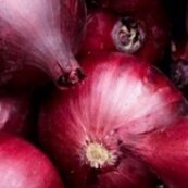 Organic_Red_Onions