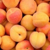 Organic_Apricots