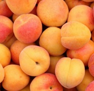 Organic_Apricots