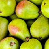 Organic_Pears