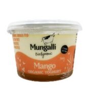 Yoghurt Mango 500g