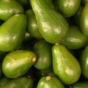 Avocados each, Small