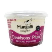 Yoghurt Davidson Plum 500g
